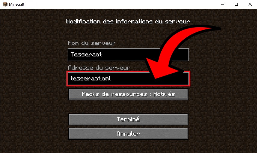 Connexion au serveur Minecraft 2