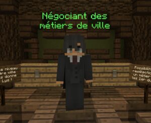 métiers de ville négociant 2