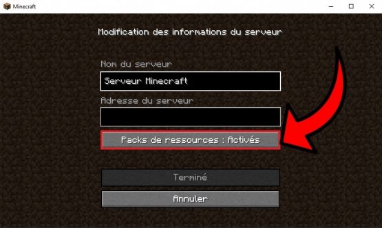 pack ressource activation serveur minecraft